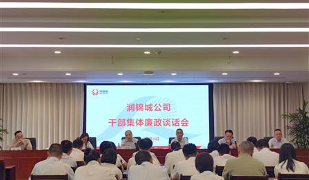 ag尊龙平台公司党总支召开干部整体廉政谈话会