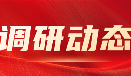 集团公司纪委委员、总会计师袁媛赴ag尊龙平台公司开展资产治理专项调研
